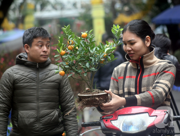 Người Hà Nội náo nức đi chợ hoa cổ nhất Hà Thành để mua sắm và chơi Tết - Ảnh 8.