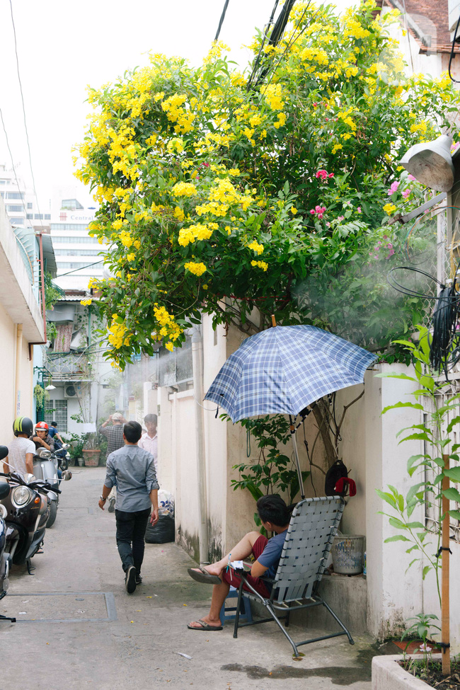 Trong nắng, Sài Gòn vẫn có những khoảnh khắc lắng dịu mát lịm tim thế này đây - Ảnh 12.