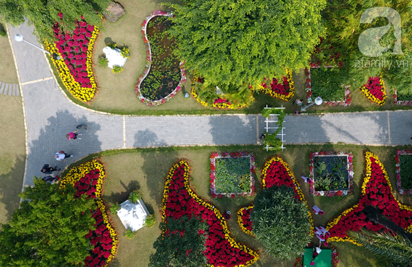 Người Hà Nội đón Tết, du xuân tại lễ hội hoa lớn nhất miền Bắc - Ảnh 13.