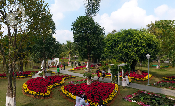 Người Hà Nội đón Tết, du xuân tại lễ hội hoa lớn nhất miền Bắc - Ảnh 11.