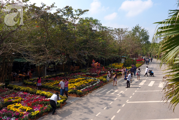 Người Hà Nội đón Tết, du xuân tại lễ hội hoa lớn nhất miền Bắc - Ảnh 4.