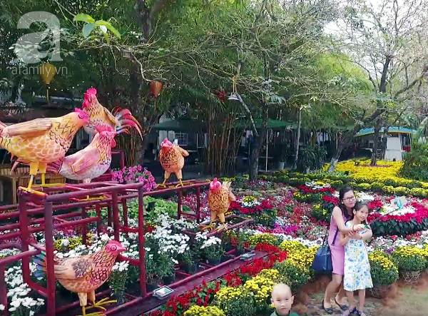 Người Hà Nội đón Tết, du xuân tại lễ hội hoa lớn nhất miền Bắc - Ảnh 5.