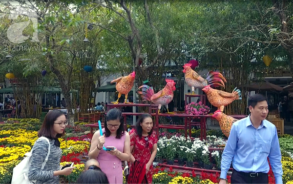 Người Hà Nội đón Tết, du xuân tại lễ hội hoa lớn nhất miền Bắc - Ảnh 6.