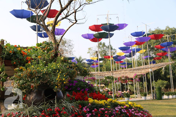 Người Hà Nội đón Tết, du xuân tại lễ hội hoa lớn nhất miền Bắc - Ảnh 10.