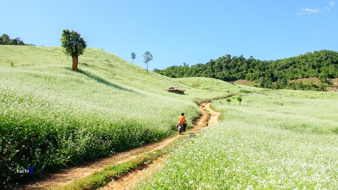 Dự đo&aacute;n th&aacute;ng cuối c&ugrave;ng của năm với h&agrave;ng loạt bất ngờ cho 12 con gi&aacute;p - Ảnh 3.