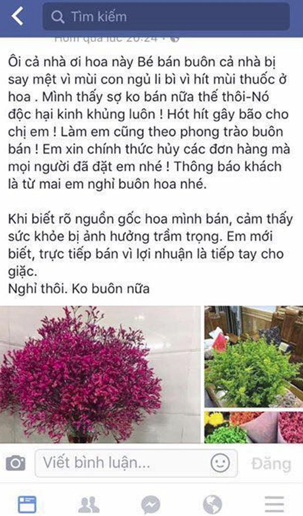 Hoa khô chơi Tết khiến người hít phải sẽ ngủ li bì: Sự thật thế nào? - Ảnh 2.