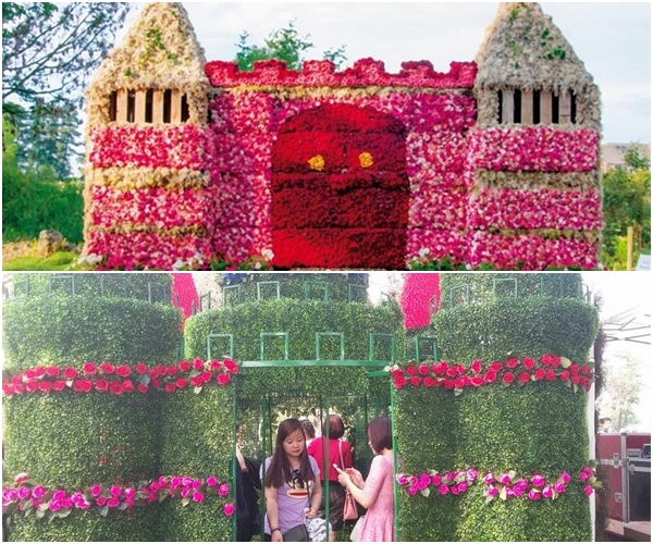 Lễ hội hoa hồng ở Hà Nội: Nhiều người tiếc rẻ vì giá vé 120.000 đồng nhưng hoa không lung linh như quảng cáo - Ảnh 1.