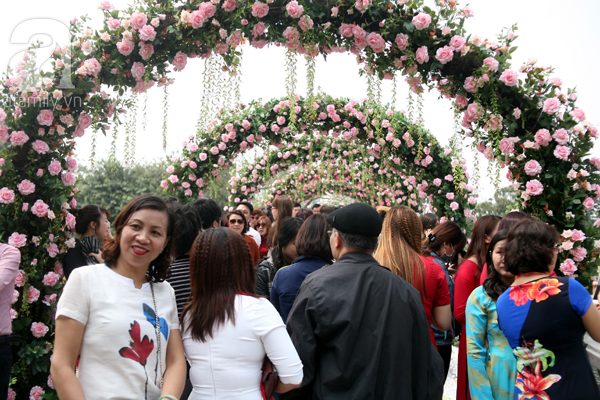 Lễ hội hoa hồng ở Hà Nội: Nhiều người tiếc rẻ vì giá vé 120.000 đồng nhưng hoa không lung linh như quảng cáo - Ảnh 8.