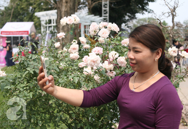 Lễ hội hoa hồng ở Hà Nội: Nhiều người tiếc rẻ vì giá vé 120.000 đồng nhưng hoa không lung linh như quảng cáo - Ảnh 6.