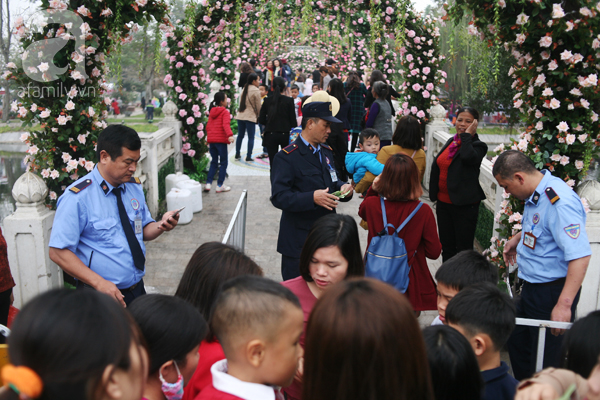 Lễ hội hoa hồng ở Hà Nội: Mới 1 ngày đã hết vé, người dân vạ vật mua vé chợ đen 250.000₫ - Ảnh 14.