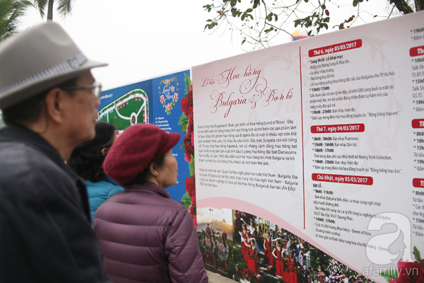 Lễ hội hoa hồng ở Hà Nội: Mới 1 ngày đã hết vé, người dân vạ vật mua vé chợ đen 250.000₫ - Ảnh 11.