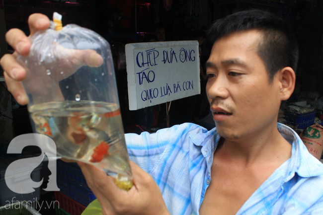 Tết ông Công, ông Táo ở Sài Gòn: Người dân chê cá chép to và giá đắt - Ảnh 4.