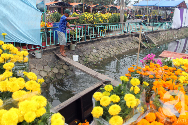 Chợ hoa kiểng bên sông rộn ràng, đẹp rực rỡ trên những chiếc ghe ngày giáp Tết - Ảnh 6.