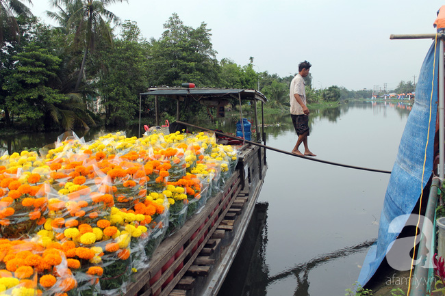 Chợ hoa kiểng bên sông rộn ràng, đẹp rực rỡ trên những chiếc ghe ngày giáp Tết - Ảnh 1.