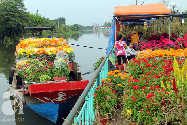 Chợ hoa kiểng bên sông rộn ràng, đẹp rực rỡ trên những chiếc ghe ngày giáp Tết - Ảnh 2.