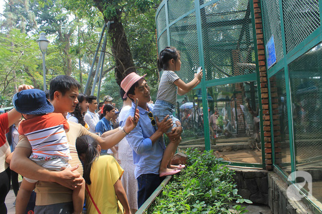 Mùng 5 Tết, nhiều gia đình Sài Gòn dẫn con chen chúc ở Thảo Cầm Viên - Ảnh 14.