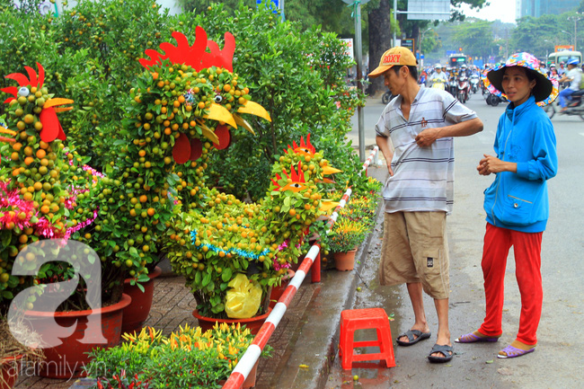 Dưa hấu, quất cảnh hình gà rực rỡ đổ bộ xuống phố Tết Sài Gòn - Ảnh 1.