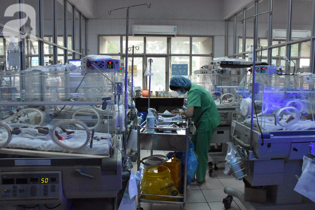 C&aacute;i Tết trong lồng k&iacute;nh của những em b&eacute; ch&acirc;n chỉ bằng ng&oacute;n tay người lớn, nặng dưới 1kg - Ảnh 1.