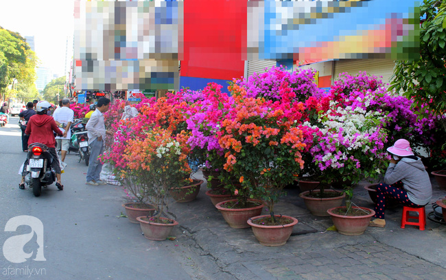 Chợ hoa Sài Gòn ngày 30 Tết: Người “bán tháo bán chạy”, kẻ cay đắng đập chậu - Ảnh 7.