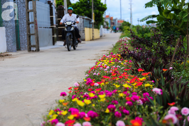 Đẹp ngỡ ngàng những con đường làng rực rỡ màu hoa - Ảnh 16.