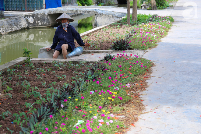 Đẹp ngỡ ngàng những con đường làng rực rỡ màu hoa - Ảnh 15.