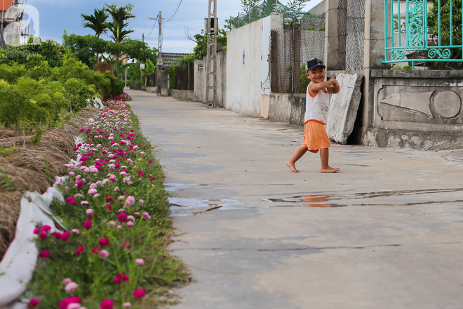 Đẹp ngỡ ngàng những con đường làng rực rỡ màu hoa - Ảnh 8.