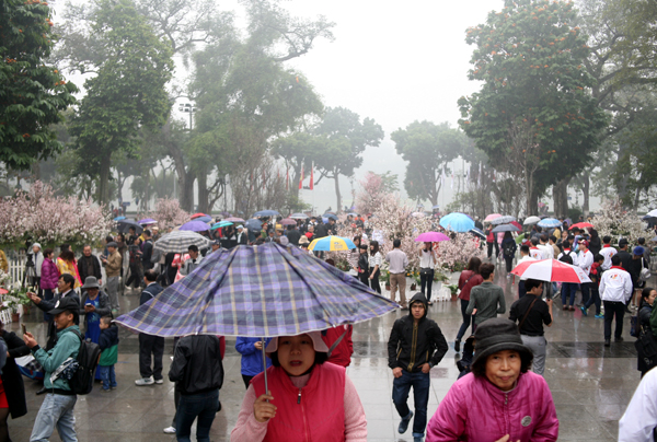 Người dân Thủ đô đội mưa lạnh đi ngắm hoa anh đào tại lễ hội - Ảnh 5.