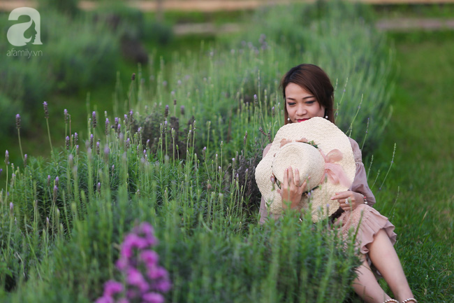 Không cần đi Tây, ở ngay Hà Nội cũng có vườn lavender tím rực khiến chị em ngất ngây - Ảnh 6.
