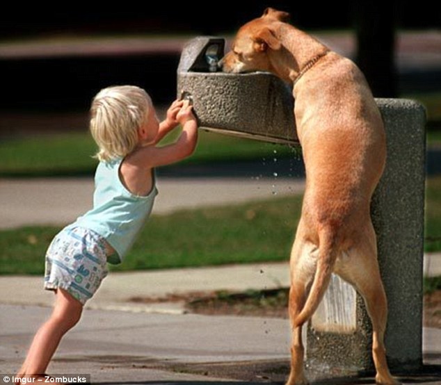 Những bức ảnh vui cho thấy trẻ em và động vật cũng có tinh thần đoàn kết đáng ngưỡng mộ - Ảnh 1.