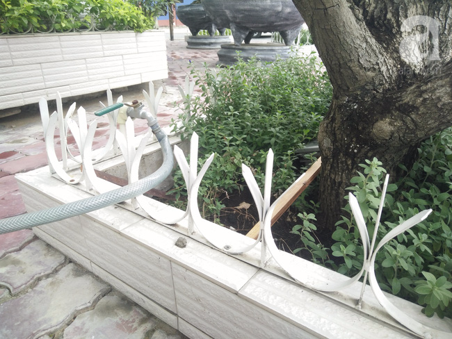 Rào chắn bồn hoa đầy sắt nhọn “có một không hai” ở Sài Gòn đã được tháo dỡ - Ảnh 7.