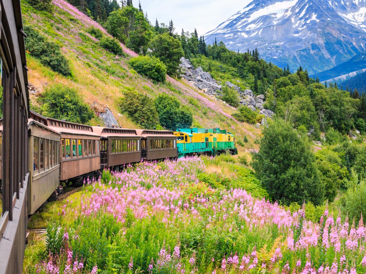 Alaska - vùng đất sở hữu thiên nhiên kỳ diệu của nước Mỹ