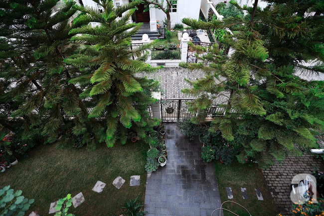 Biệt thự sân vườn sở hữu những khoảng xanh đẹp đến từng chi tiết của vợ chồng KTS ở Hà Nội - Ảnh 3.