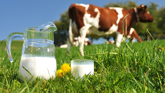 Không chỉ cho con uống sữa, đã đến lúc các mẹ cần tìm hiểu về sữa organic - Ảnh 1.
