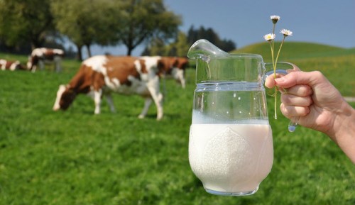 Toàn cảnh một quy trình sản xuất sữa organic nghiêm ngặt - Ảnh 4.