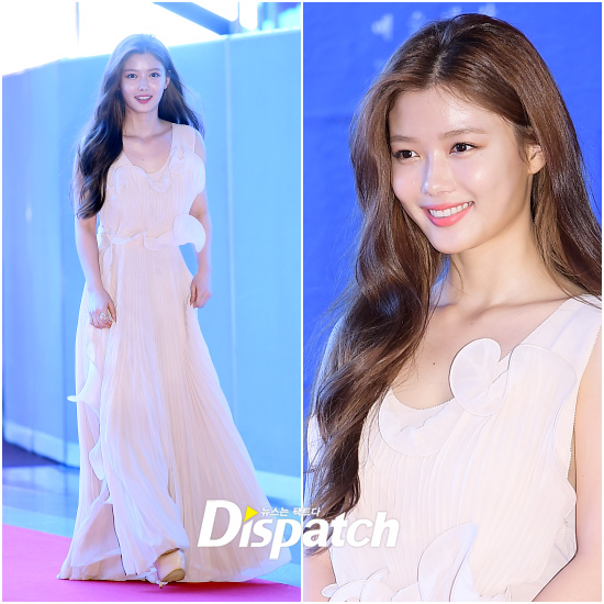 Park Shin Hye béo lên trông thấy khi xuất hiện cùng dàn sao Hàn trên thảm đỏ Baeksang 2017 - Ảnh 8.