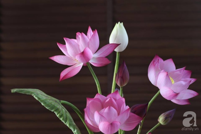 Cắm hoa sen: Hoa sen là biểu tượng của sự thanh tịnh và tinh khiết. Cắm hoa sen sẽ giúp bạn tạo nên một không gian yên tĩnh và sâu lắng, và đồng thời làm tôn lên vẻ đẹp hiện đại và sang trọng của ngôi nhà.