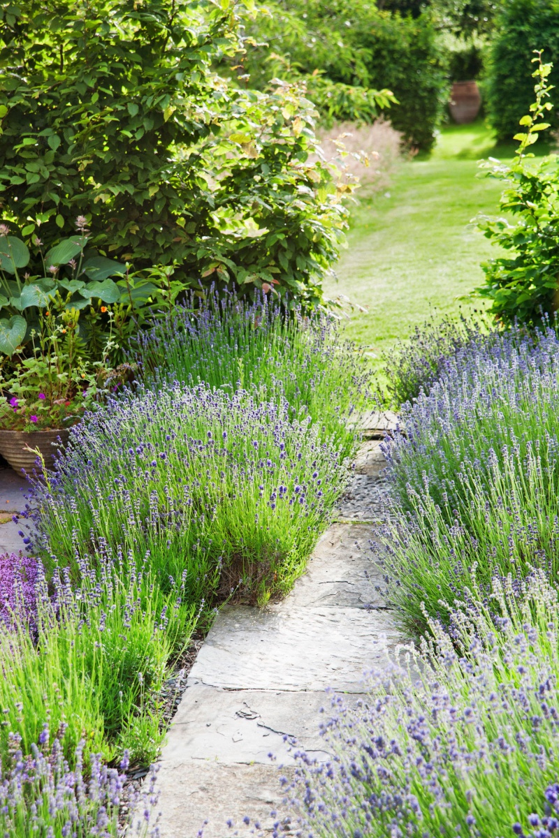 18 cách cực hay mà đơn giản làm mới sân vườn nhà bạn