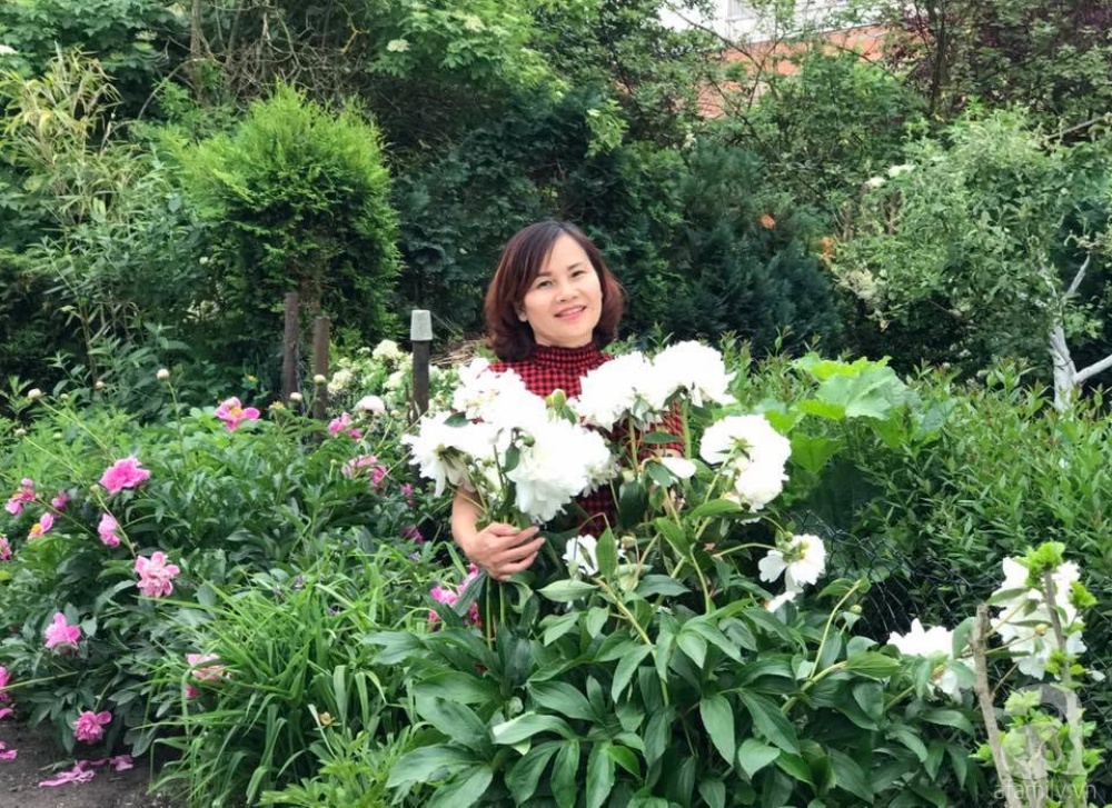 Khu vườn hoa mẫu đơn rộng 1000m² đẹp như trong cổ tích của mẹ Việt ...