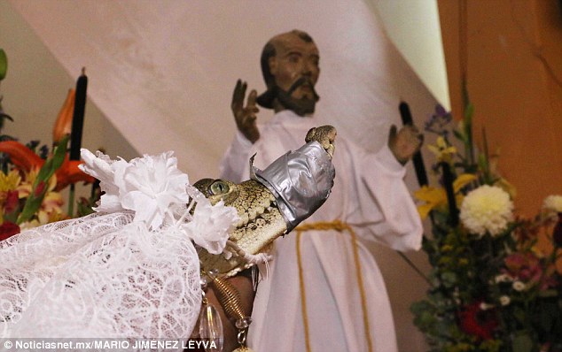Thị trưởng làm đám cưới với cá sấu vì lý do ai cũng bất ngờ - Ảnh 1.