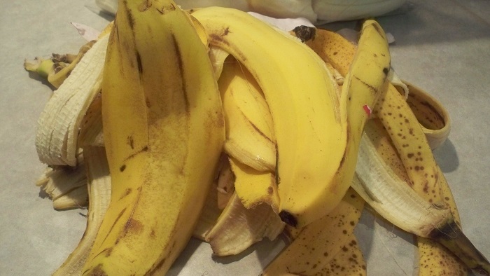  Với 9 c&aacute;ch l&agrave;m cực đơn giản, vỏ chuối sẽ trở th&agrave;nh thần dược cho khu vườn nh&agrave; bạn  - Ảnh 4.