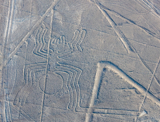 BMKTCN  ĐHXD  Những hình vẽ trên cao nguyên Nazca và Palpa Peru