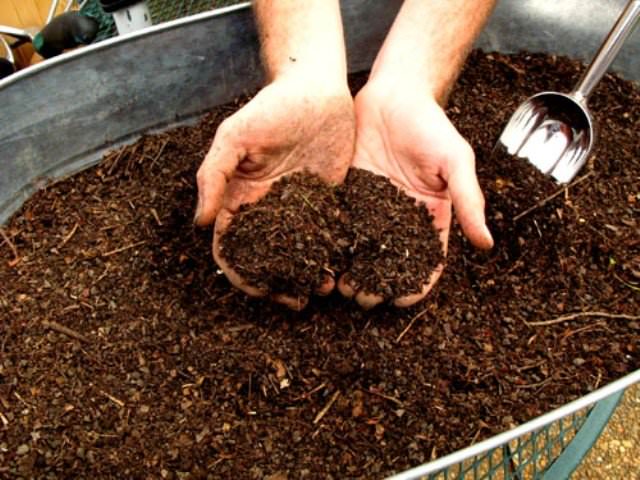 4 bước tự ủ phân bón từ rau củ tại nhà vừa đơn giản vừa tiết kiệm, lại an toàn cho những nông dân phố - Ảnh 6.