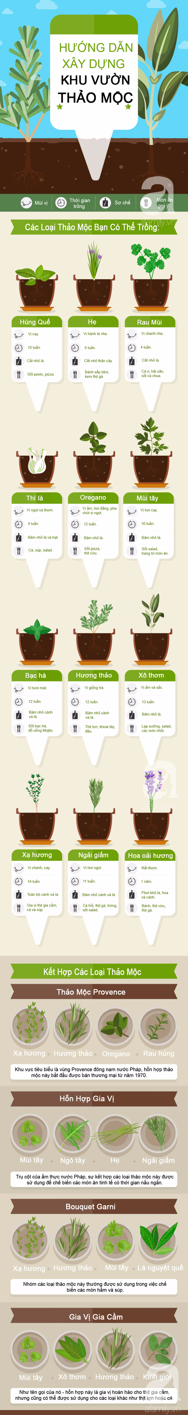 Infographic này sẽ thay đổi thói quen trồng thảo mộc tự phát của bạn - Ảnh 1.