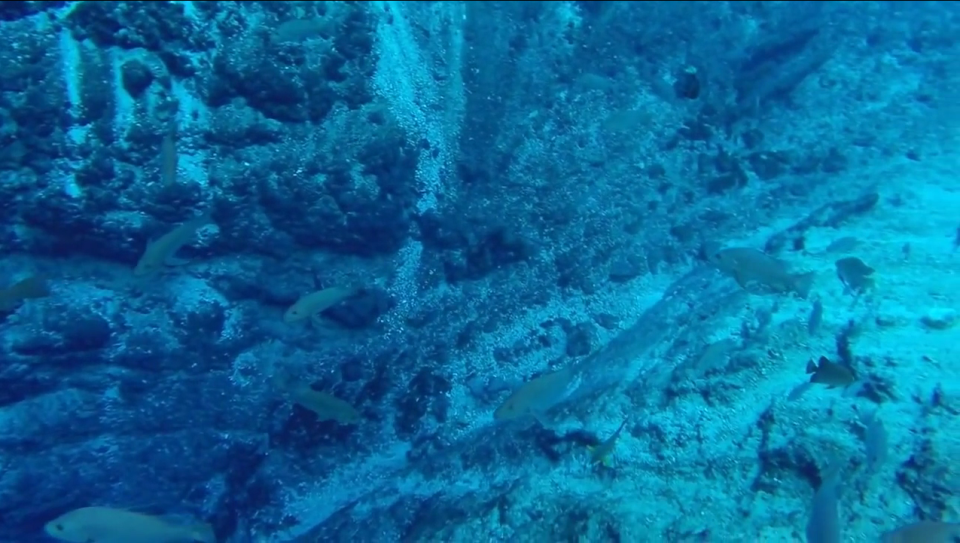 D&ograve;ng s&ocirc;ng xanh hiền h&ograve;a ẩn chứa b&iacute; mật đ&aacute;ng kinh ngạc - Ảnh 3.