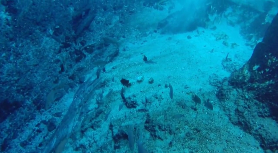 D&ograve;ng s&ocirc;ng xanh hiền h&ograve;a ẩn chứa b&iacute; mật đ&aacute;ng kinh ngạc - Ảnh 4.