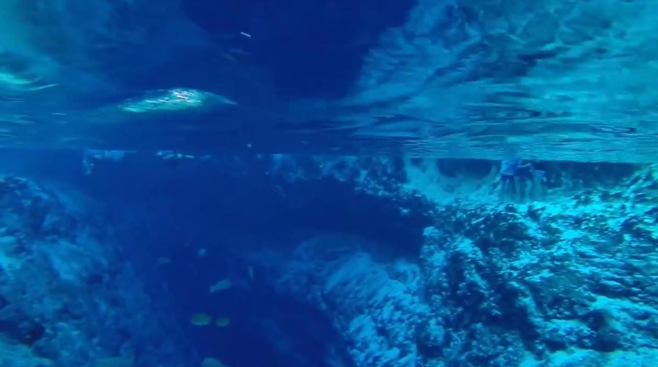 D&ograve;ng s&ocirc;ng xanh hiền h&ograve;a ẩn chứa b&iacute; mật đ&aacute;ng kinh ngạc - Ảnh 7.