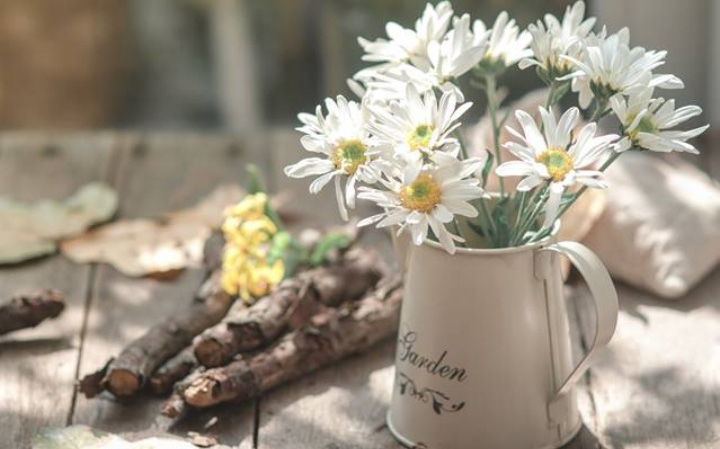 Cách cắm hoa cúc họa mi: Bạn muốn biết cách cắm hoa cúc họa mi trong gia đình để tạo điểm nhấn cho không gian sống của bạn? Hãy xem qua những cách cắm hoa cúc họa mi độc đáo và đầy tinh tế. Chúng sẽ giúp bạn trở thành một người năng động và yêu đời hơn.