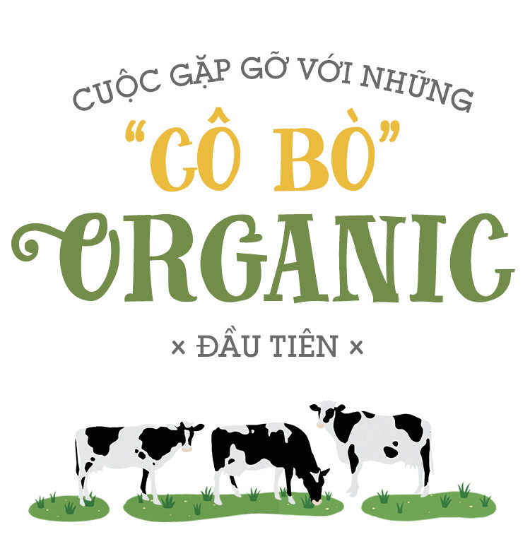 Ghé thăm trang trại nghỉ dưỡng 5 sao cho bò sữa organic của Việt Nam - Ảnh 1.