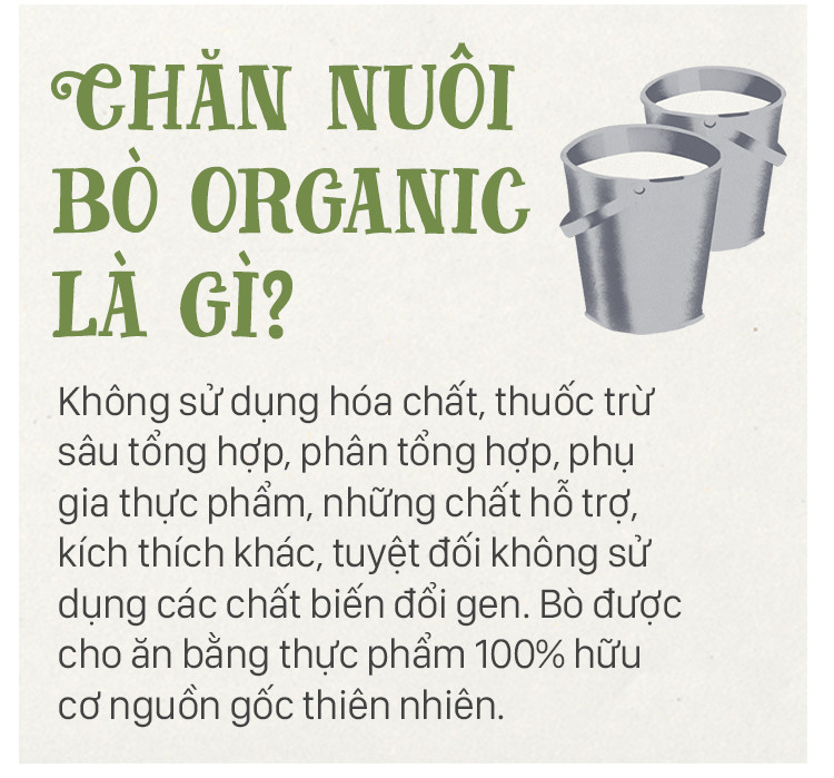 Ghé thăm trang trại nghỉ dưỡng 5 sao cho bò sữa organic của Việt Nam - Ảnh 3.