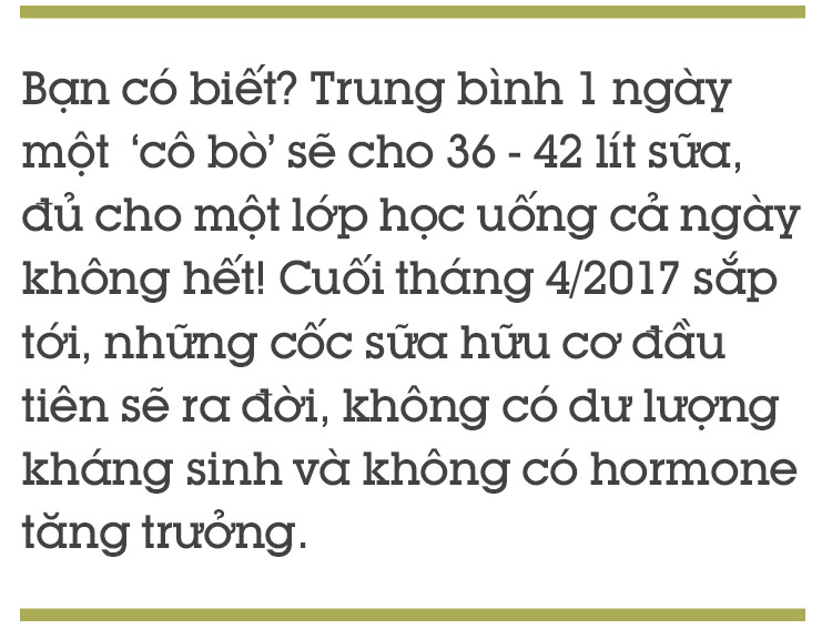 Ghé thăm trang trại nghỉ dưỡng 5 sao cho bò sữa organic của Việt Nam - Ảnh 8.